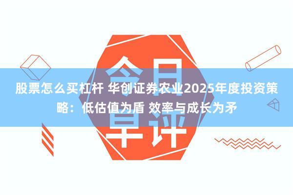 股票怎么买杠杆 华创证券农业2025年度投资策略：低估值为盾 效率与成长为矛