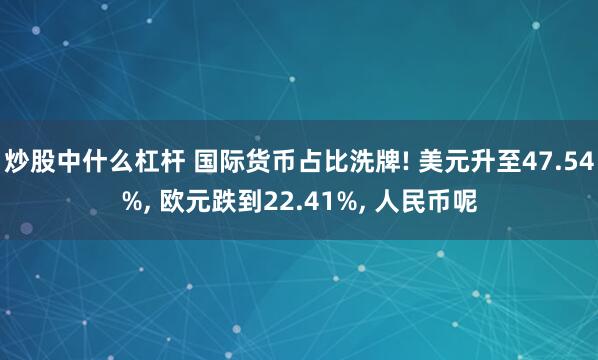 炒股中什么杠杆 国际货币占比洗牌! 美元升至47.54%, 欧元跌到22.41%, 人民币呢