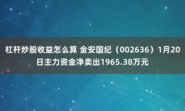 杠杆炒股收益怎么算 金安国纪（002636）1月20日主力资金净卖出1965.38万元