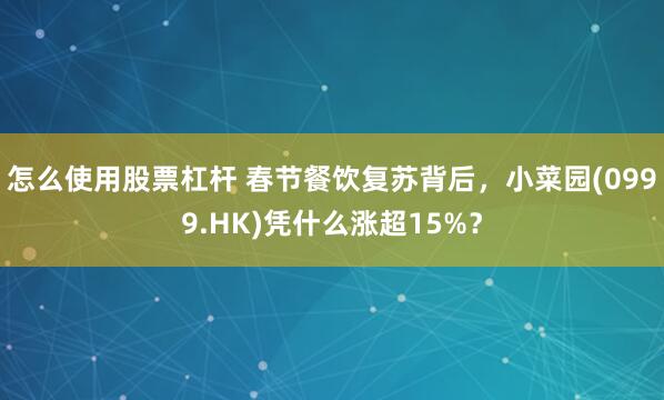 怎么使用股票杠杆 春节餐饮复苏背后，小菜园(0999.HK)凭什么涨超15%？