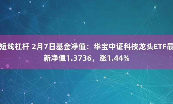 短线杠杆 2月7日基金净值：华宝中证科技龙头ETF最新净值1.3736，涨1.44%