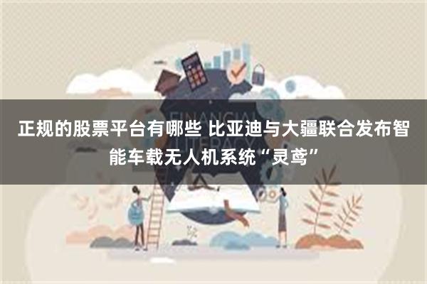 正规的股票平台有哪些 比亚迪与大疆联合发布智能车载无人机系统“灵鸢”