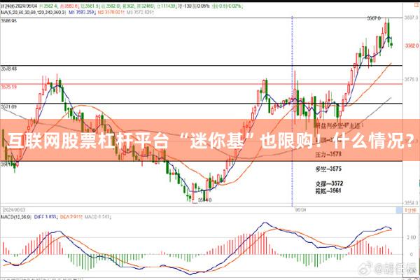 互联网股票杠杆平台 “迷你基”也限购！什么情况？