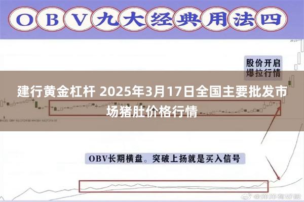 建行黄金杠杆 2025年3月17日全国主要批发市场猪肚价格行情